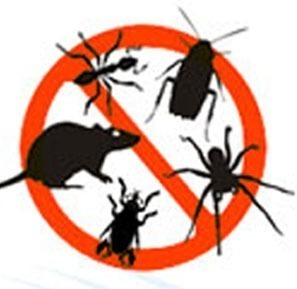 rio 3 desinfecciones